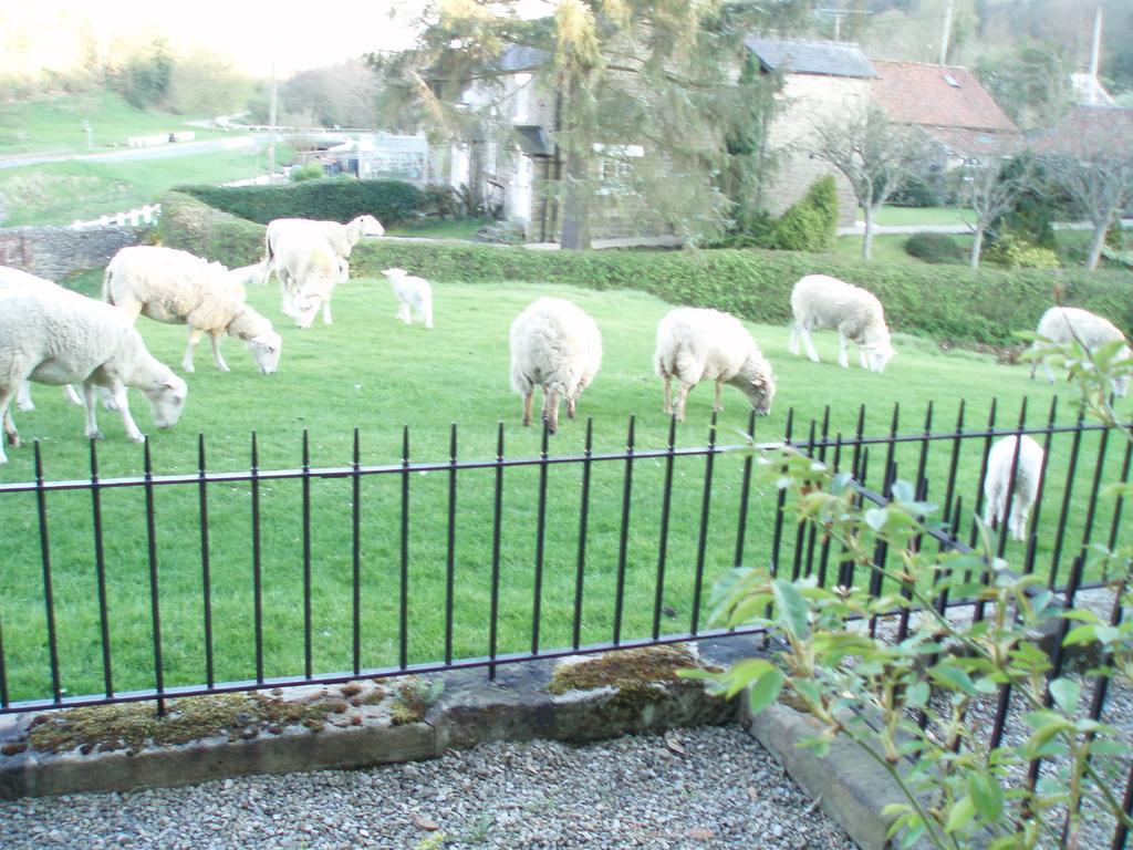 Hotel Burnley House Hutton le Hole Exterior foto